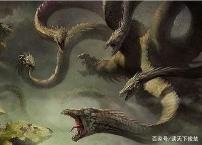 龍魚死后是替人擋災：關于龍魚死后是否替人擋災的說法存在不同的觀點和解釋
