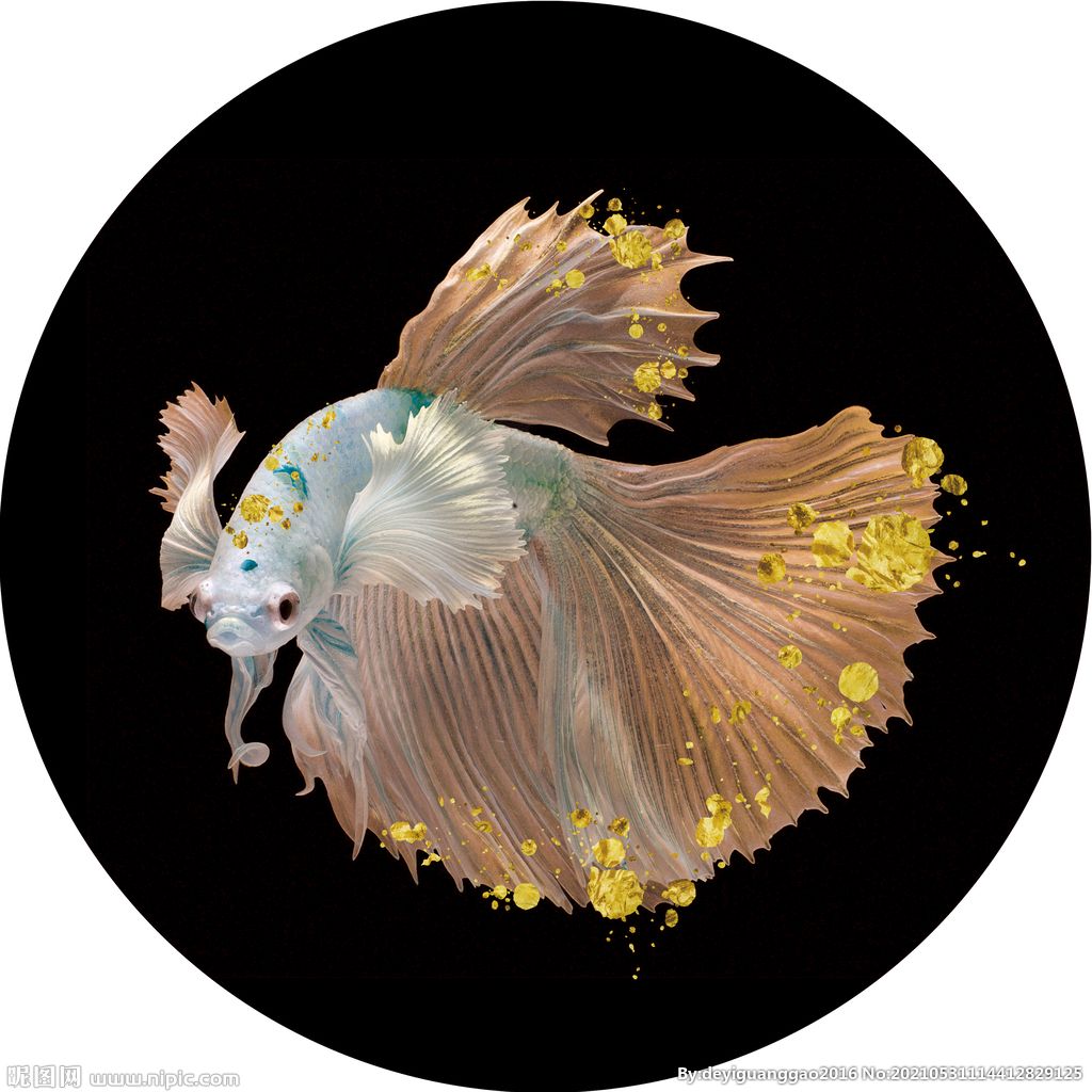 瘋狂咬尾求助大神們