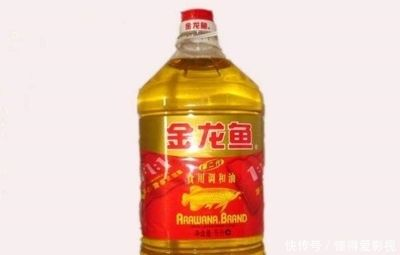 金龍魚(yú)最貴多少錢(qián)一條？（最貴的金龍魚(yú)價(jià)格可達(dá)580萬(wàn)元人民幣可達(dá)到5000元人民幣）