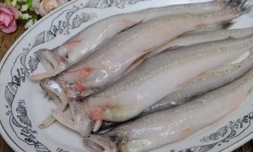 龍魚可食用嗎，龍魚在特定條件下可以吃，但存在一定的食用風險和禁忌
