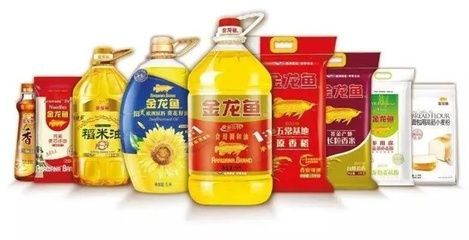 金龍魚(yú)溫度多少合適冬天，金龍魚(yú)冬季適宜水溫的控制