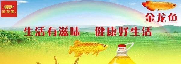 金龍魚有中國控股嗎，金龍魚是否有中國控股的問題，豐益國際對中國市場影響