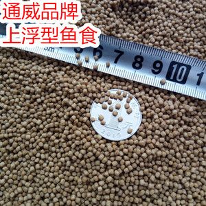 龍魚趴地不吃東西怎么辦：龍魚趴地不吃東西怎么辦,