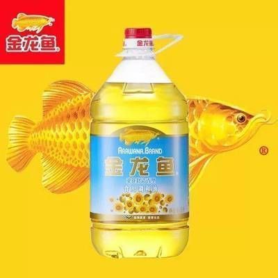金龍魚老沉缸底什么原因，金龍魚老是沉在缸底可能由多種原因引起金龍魚沉底現(xiàn)象