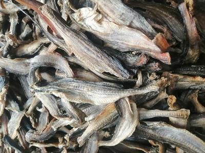 龍魚一手貨源，如何獲取龍魚一手貨源