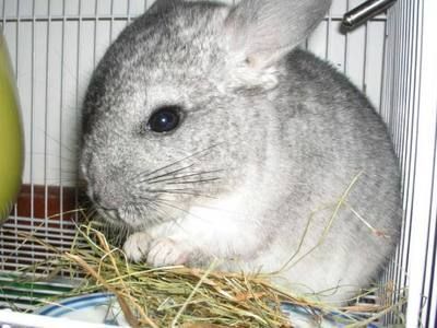 松原哪里賣魚缸的地方多一點（松原哪里賣魚缸的地方多一點?。? title=