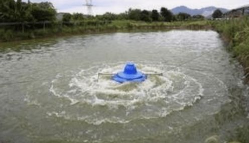 龍魚跳出魚缸摔到地下怎么辦啊 龍魚跳出魚缸摔到地下怎么辦啊視頻