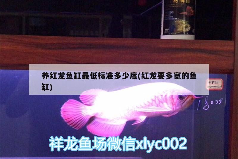 養(yǎng)紅龍魚(yú)缸最低標(biāo)準(zhǔn)多少度(紅龍要多寬的魚(yú)缸)