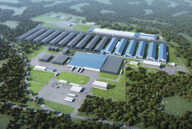 南寧金龍魚蛋雞養殖基地在那里啊電話，南寧金龍魚養殖基地介紹