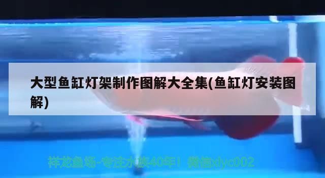 鄂州魚缸發(fā)動機(jī)哪里買得到的啊多少錢（鄂州魚缸發(fā)動機(jī)哪里買得到的啊多少錢一臺）