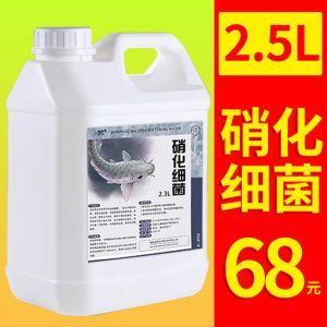 龍魚缸除藻生物有哪些種類：龍魚缸除藻生物 龍魚缸除藻生物有哪些種類：龍魚缸除藻生物 龍魚百科 第1張