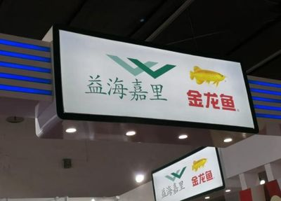 金龍魚現狀及發展前景分析，金龍魚如何應對原材料價格波動