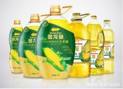金龍魚科普知識，金龍魚的養殖環境要求