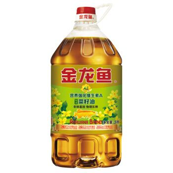 金龍魚科普知識，金龍魚的養殖環境要求