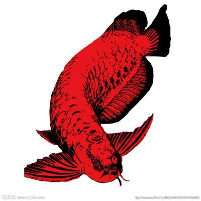 龍魚設計，龍魚設計在文化中的應用