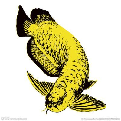 龍魚設計，龍魚設計在文化中的應用