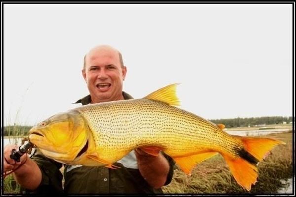 什么是龍魚側游狀態：什么是龍魚側游狀態呢