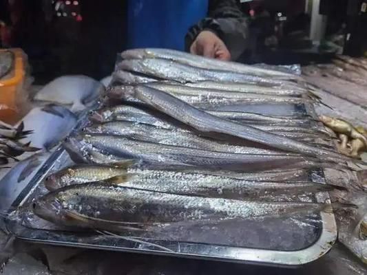 附近修魚缸電話地址在哪里（附近修魚缸電話地址在哪里查） 附近修魚缸電話地址在哪里（附近修魚缸電話地址在哪里查） 龍魚百科 第2張