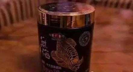 龍魚訓食顆粒飼料有哪些品種，顆粒飼料與活餌搭配指南龍魚飼料保存方法介紹