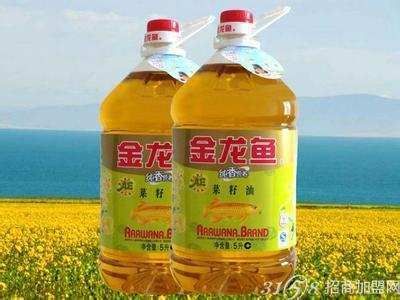金龍魚加盟代理，金龍魚為加盟商提供了全面而具體的信息支持，加盟條件相對明確 金龍魚加盟代理，金龍魚為加盟商提供了全面而具體的信息支持，加盟條件相對明確 龍魚百科 第5張
