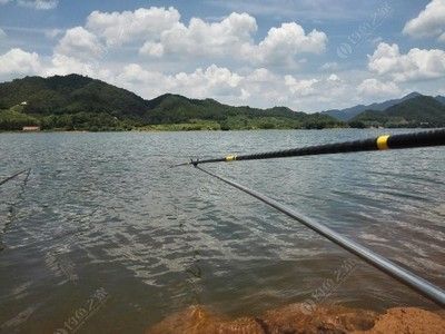 龍魚哪里有釣魚的地方啊：龍魚釣魚地點(diǎn)推薦：龍魚釣魚技巧分享龍魚釣魚技巧分享