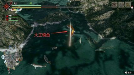 龍魚哪里有釣魚的地方啊：龍魚釣魚地點推薦：龍魚釣魚技巧分享龍魚釣魚技巧分享