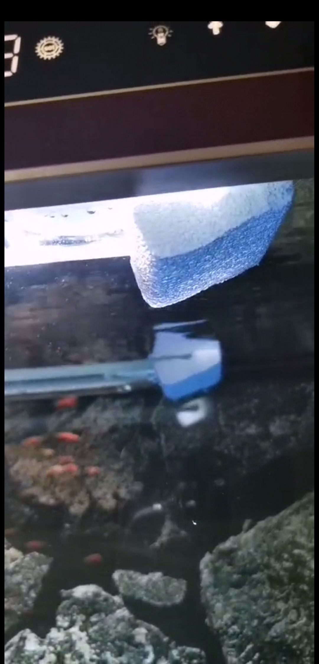 生態魚缸百科知識（生態魚缸效果圖）