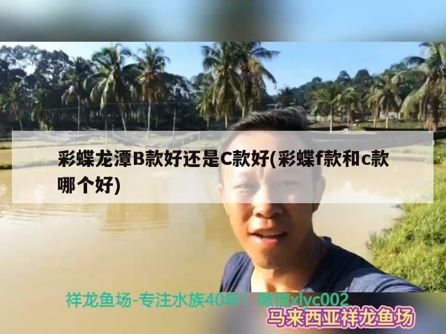 魚缸里倒咖啡好不好呀(魚缸里倒咖啡好不好呀視頻)