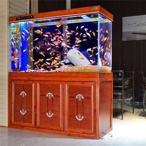龍魚對魚缸的要求高嗎：龍魚對魚缸的要求高嗎，