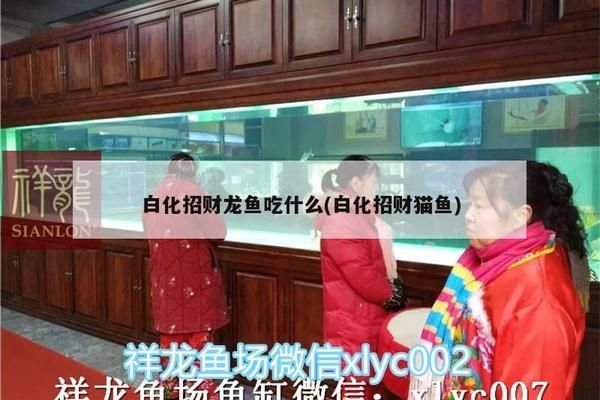 唐山魚缸制作公司 唐山水缸廠家