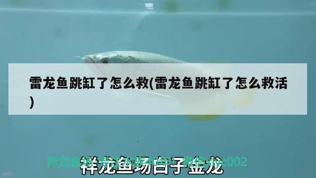 唐山魚缸制作公司 唐山水缸廠家