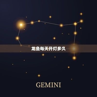 龍魚燈什么時候開比較合適（關于龍魚燈的開燈時間的建議）
