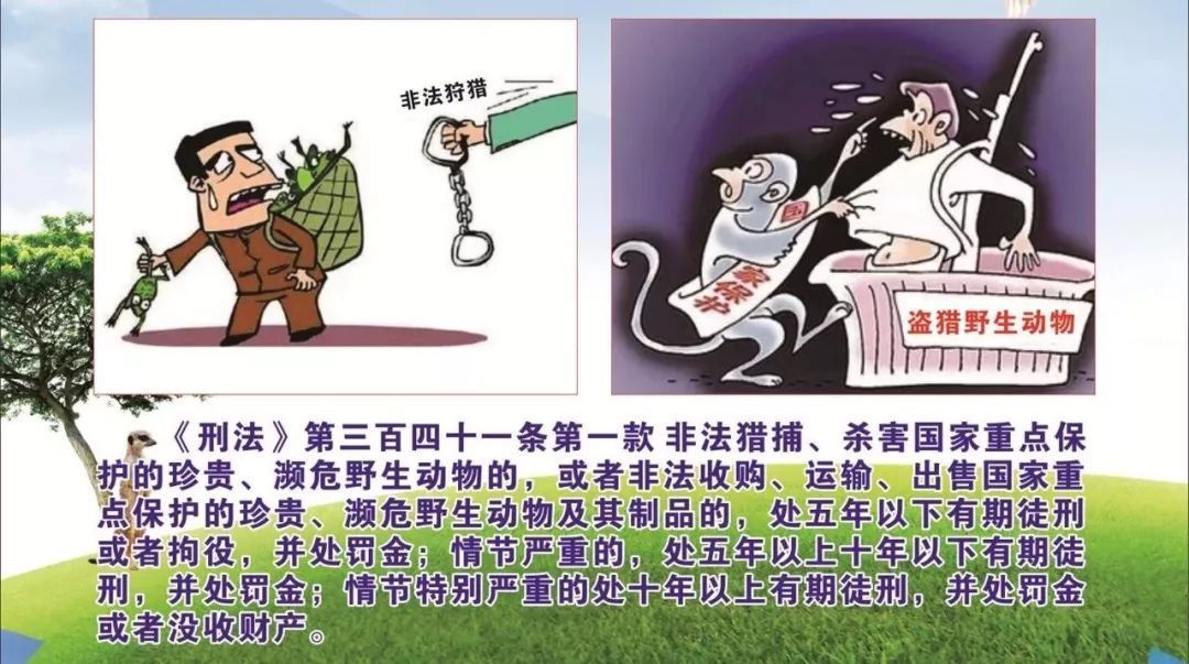 買賣龍魚被抓怎么辦，買賣龍魚被抓怎么辦？