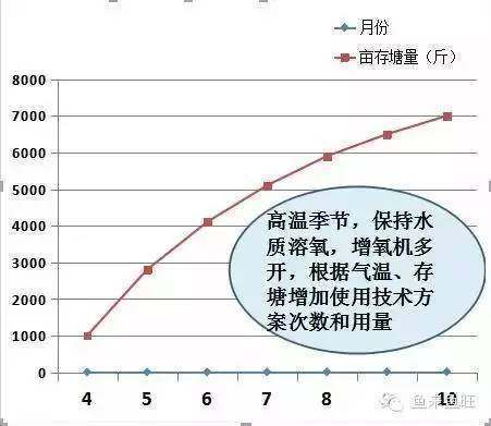 龍魚適合的水溫是多少攝氏度的水：探秘龍魚的水溫密碼，打造適宜的水生家園