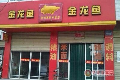 金龍魚加盟為什么沒做起來，金龍魚加盟未能成功的原因