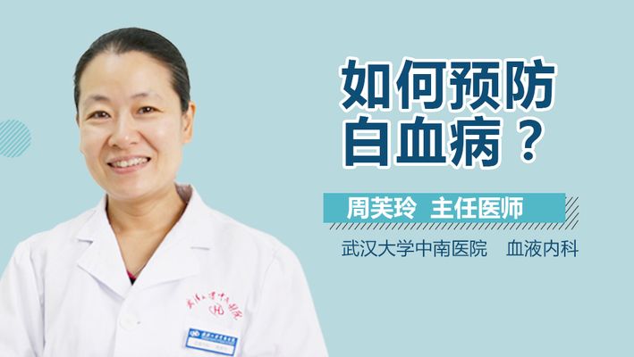 香港水族批發市場在哪里有（香港觀賞魚市場）