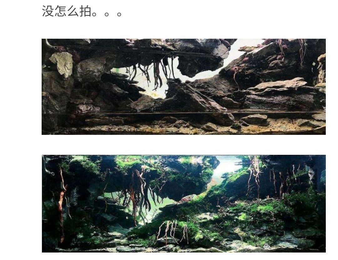 魚缸的種類有多少種圖片及名稱 魚缸的種類有多少種圖片及名稱及價格