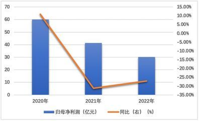 金龍魚歷年財(cái)報(bào)分析，金龍魚2018年財(cái)報(bào)分析