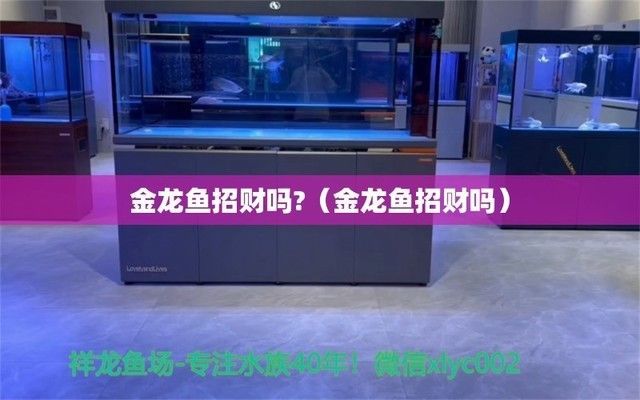 金龍魚旺財嗎