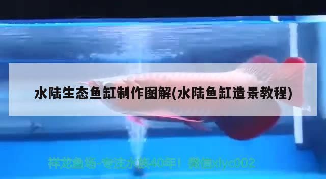 金魚缸怎樣換水（金魚魚缸怎么換水）