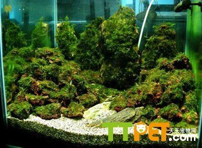 魚缸底柜不平有危險嗎（魚缸底柜不平用什么墊）