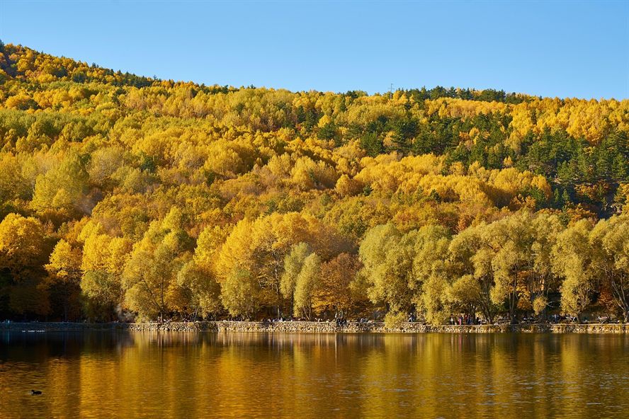 魚缸底柜不平有危險嗎（魚缸底柜不平用什么墊）
