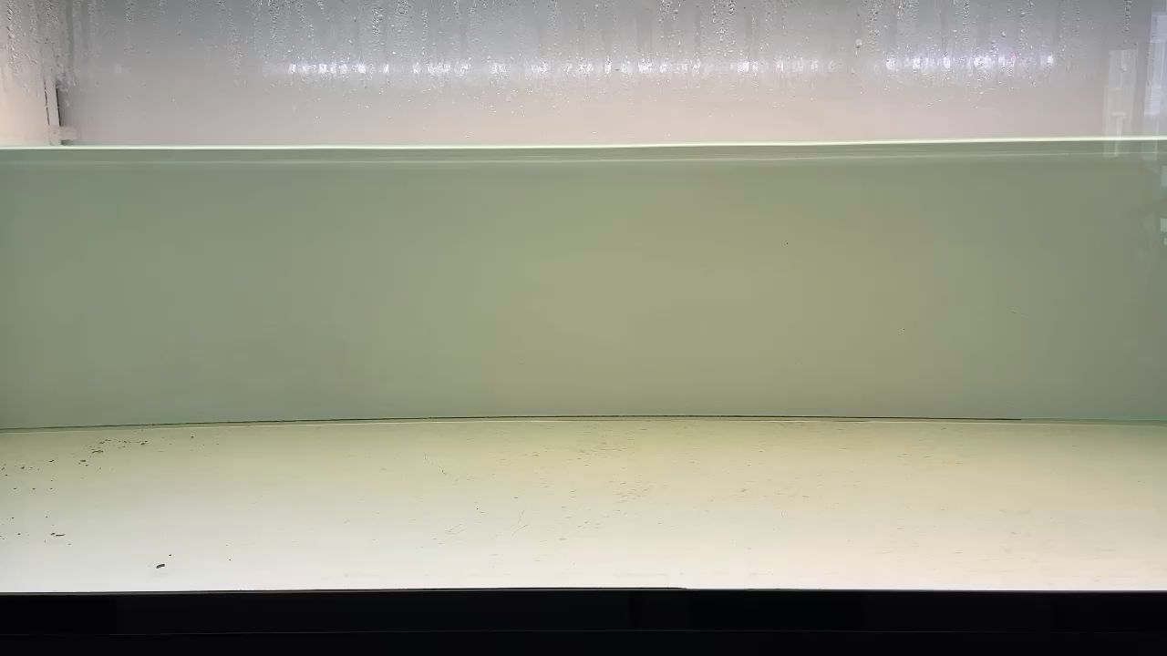 牡丹江水族批發(fā)市場在哪里（牡丹江水族批發(fā)市場在哪里啊）