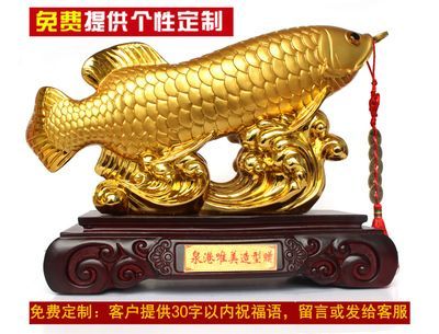 金龍魚客戶電話，金龍魚官方客戶電話