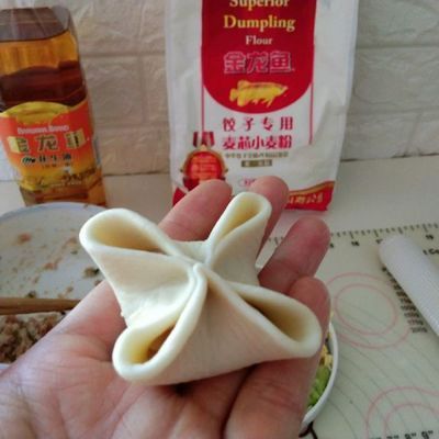 金龍魚餃子食譜大全，金龍魚餃子食譜大全，