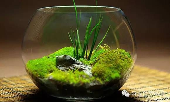 魚缸自動喂食器怎么安裝的（魚缸自動喂食器制作過程圖）