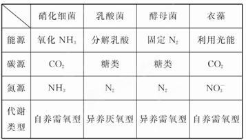 魚缸過濾材料的作用（魚缸過濾材料怎樣使用）
