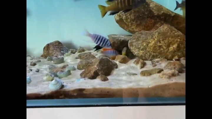 常州魚缸定制廠家有哪些地方招工（常州魚缸市場在哪里）