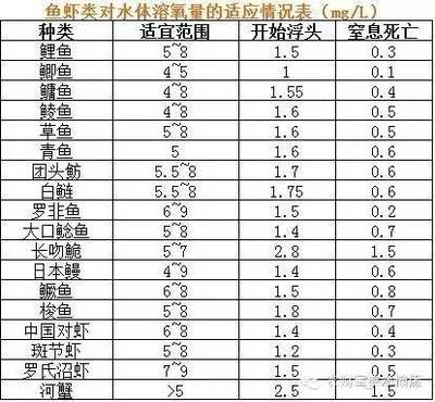 北京觀賞魚市場批發價格表圖片（北京市觀賞魚市在什么地方）