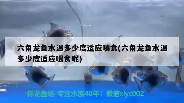 榆次二手魚缸交易市場(chǎng)地址電話多少（榆次觀賞魚批發(fā)市場(chǎng)）
